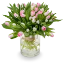 Bouquet of pink tulips